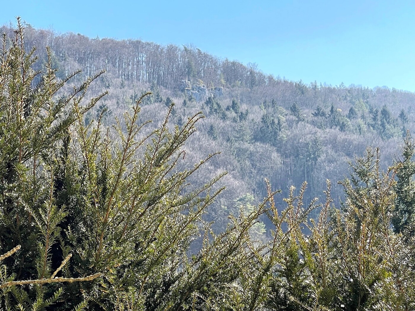 Aussicht vom Haus rechte Seite