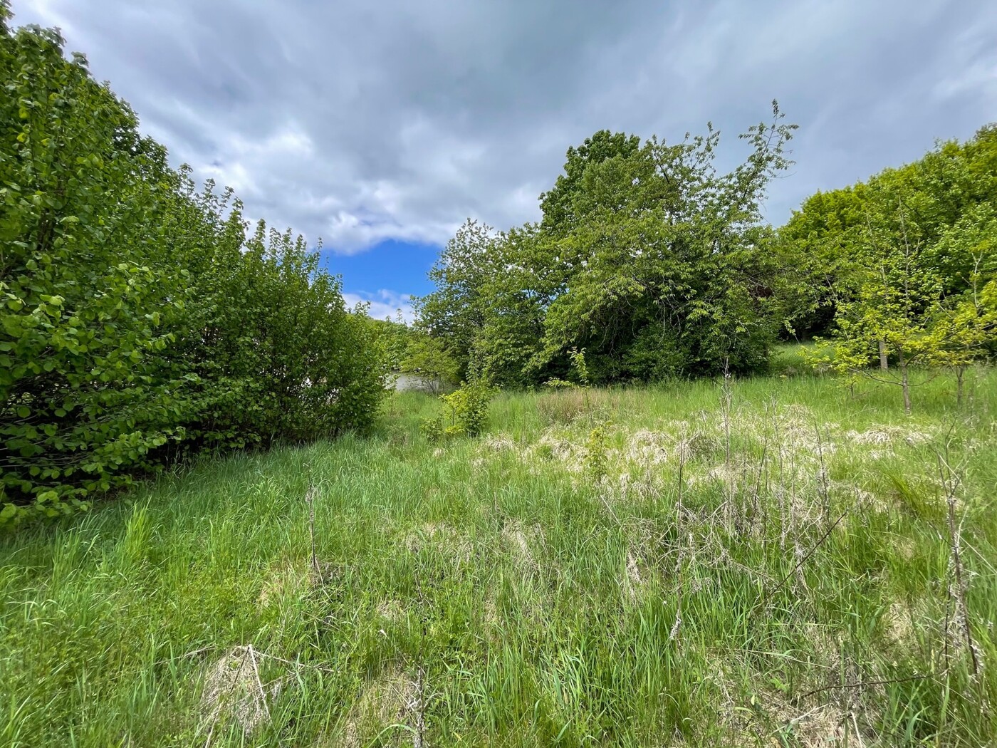 Baugrundstück - Foto 4