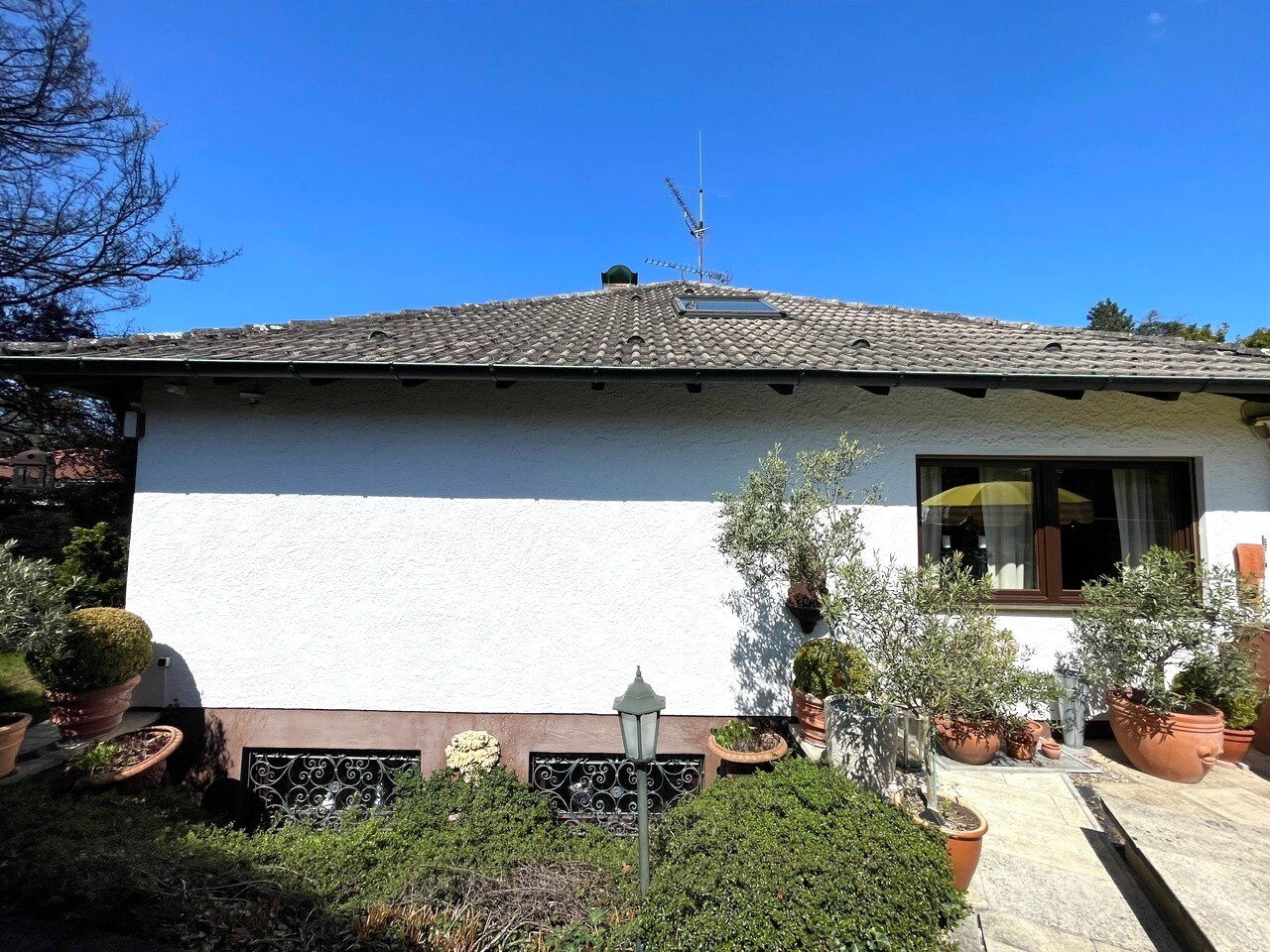 Seitenansicht - Foto 1