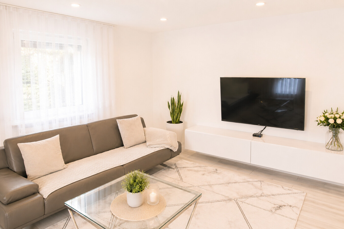 TV Wand