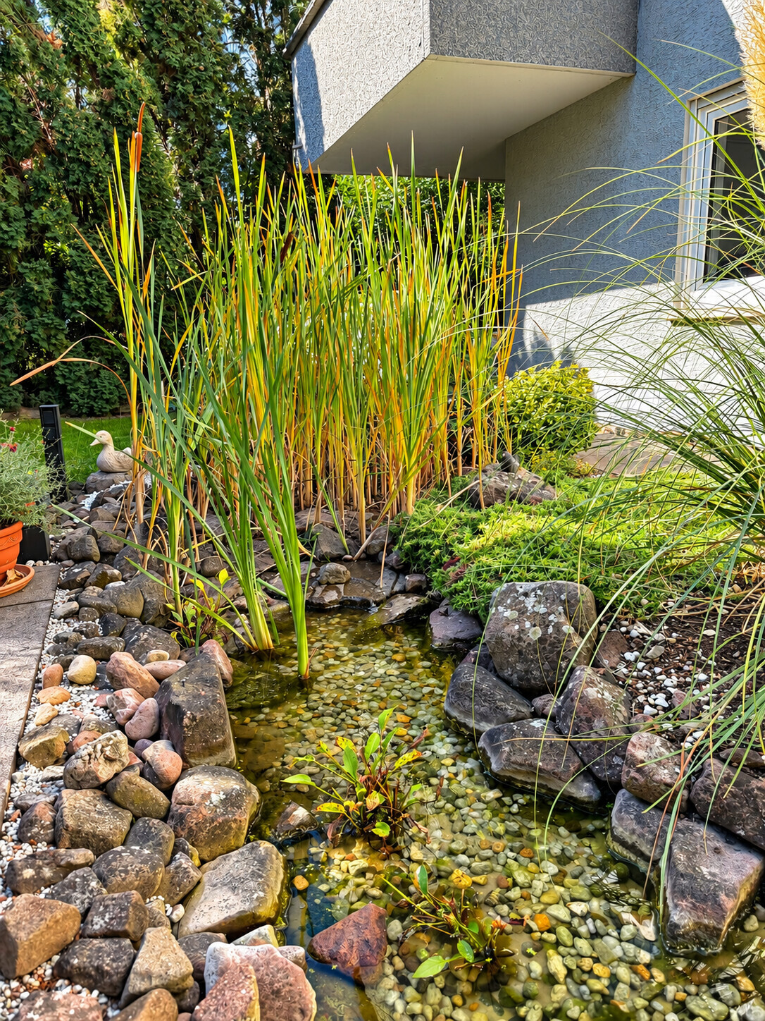Gartenimpressionen