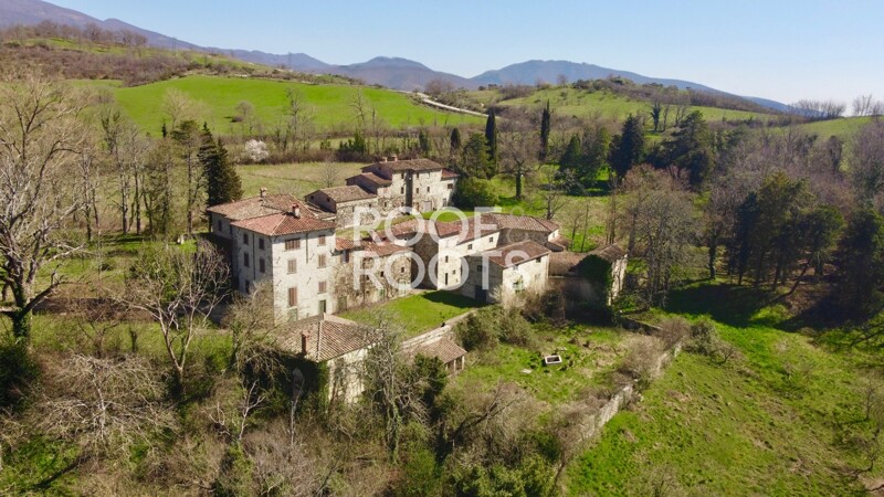 Historic property surrounded by greenery