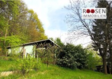 Vorlage_Startbild mit Loge-1