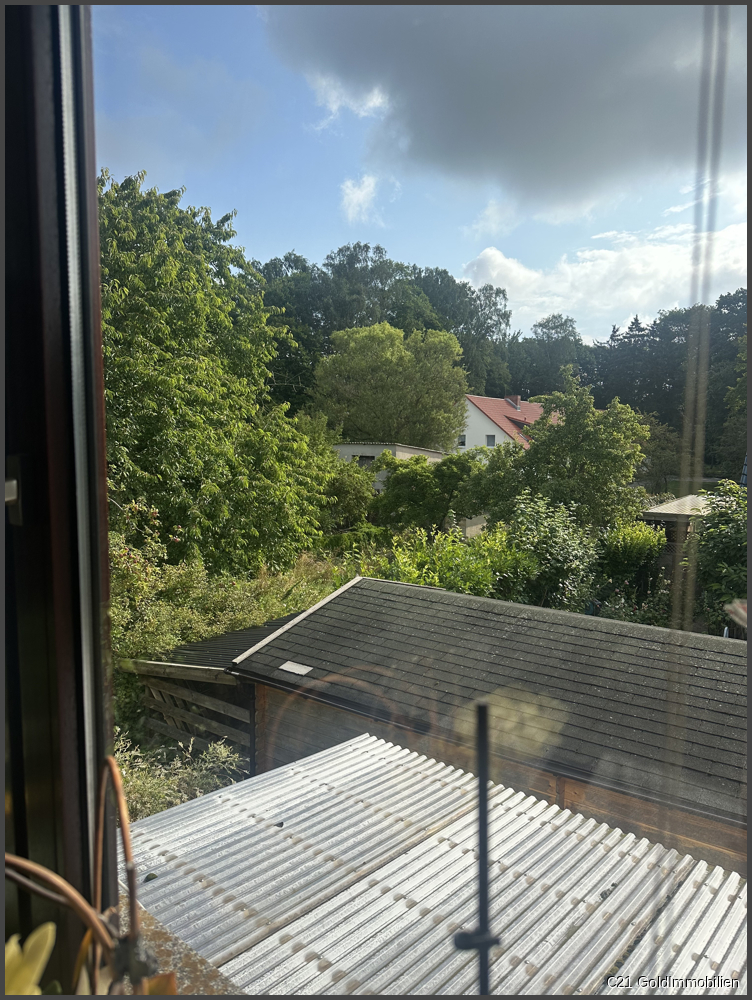 Ausblick Wohnzimmer