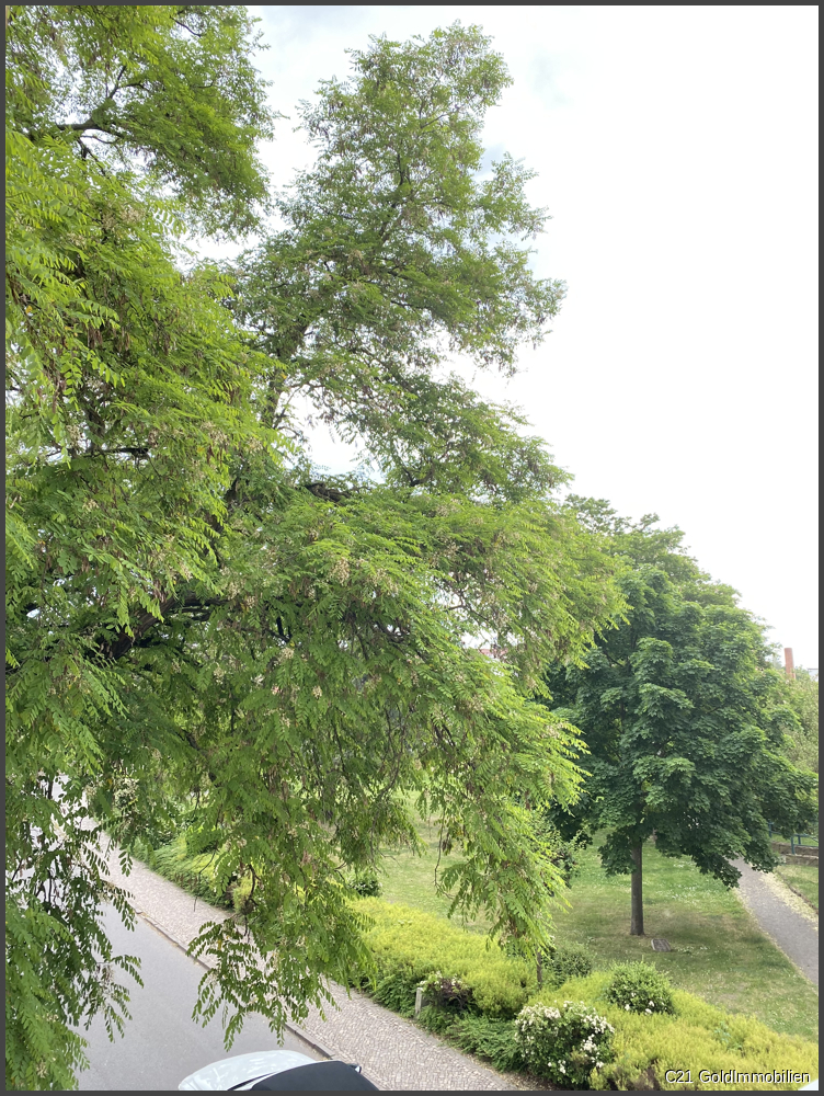  Tolle Aussicht auf den Park