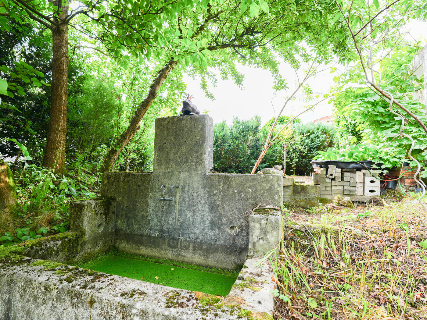 DSC06085
