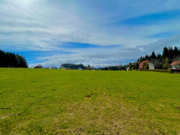 Grundstück3