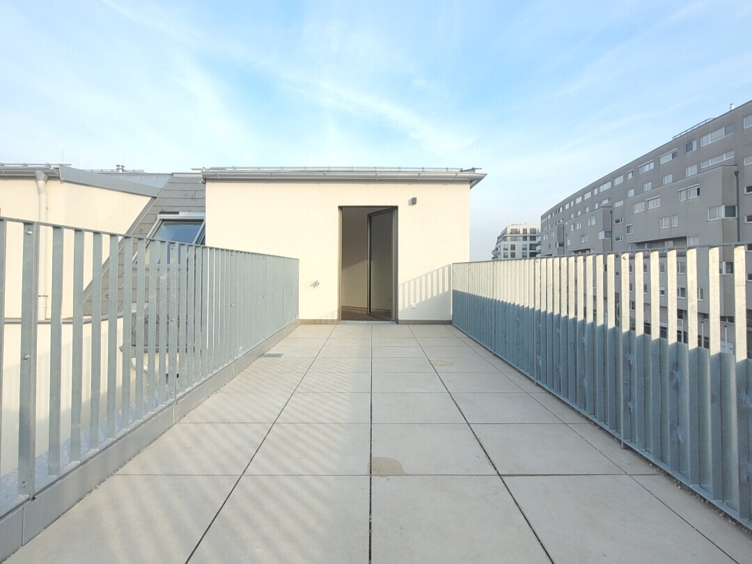 Dachterrasse 2