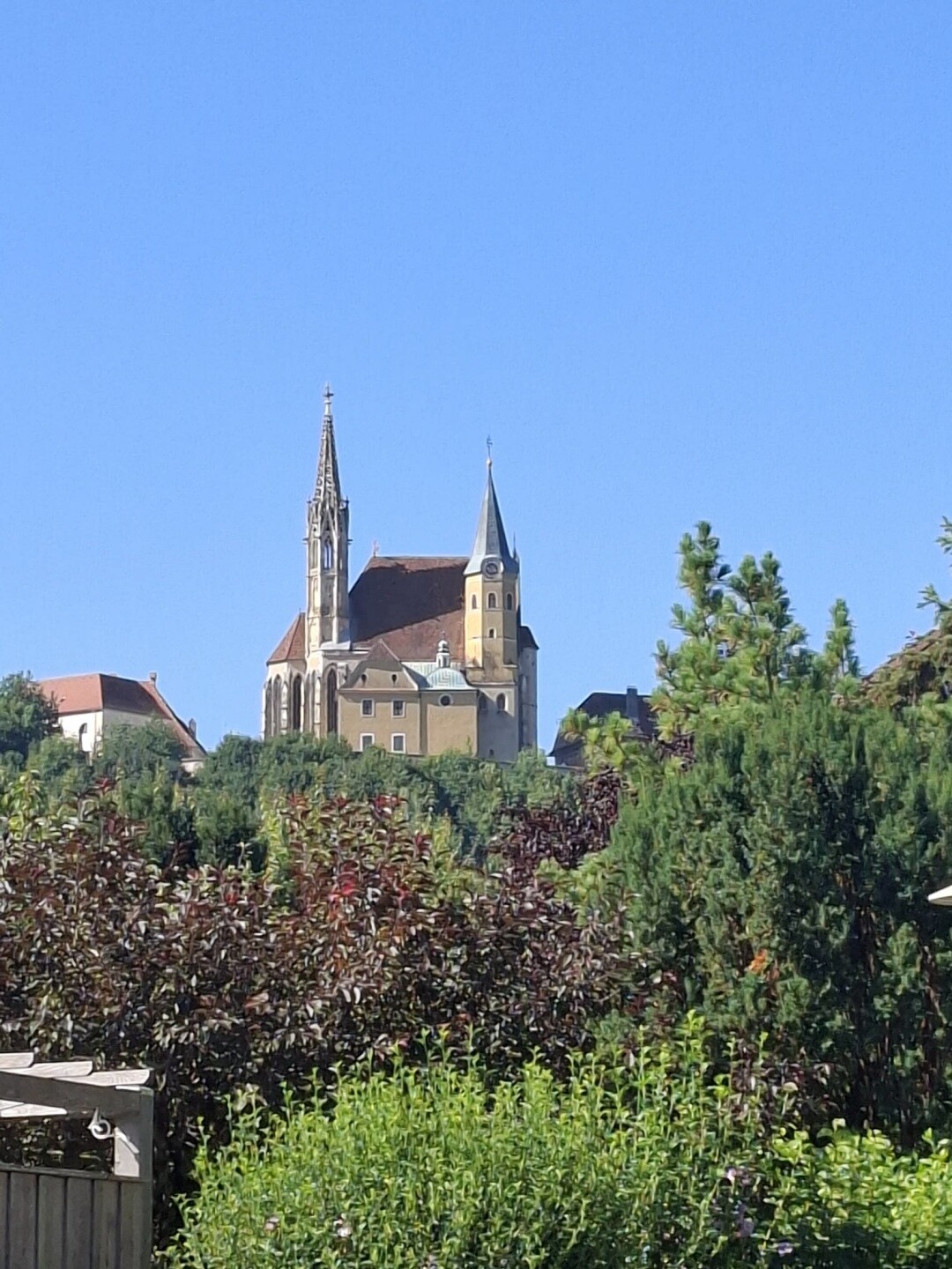 IMG-20260719-WA0014