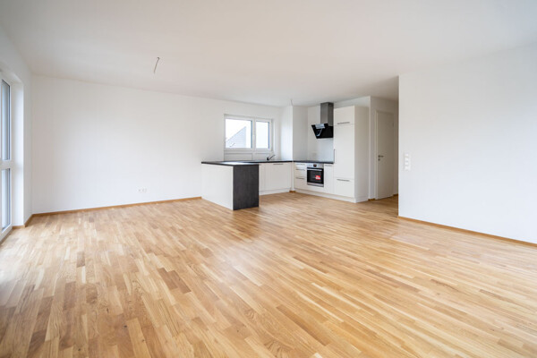 Wohn-Ess-Kochbereich