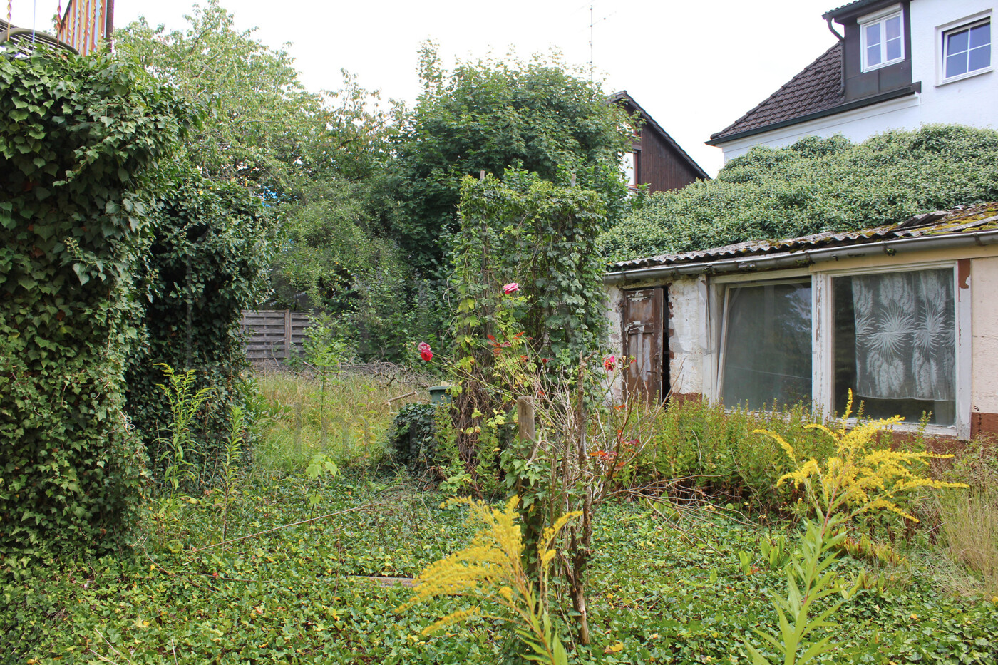 Ansicht Grundstück 2