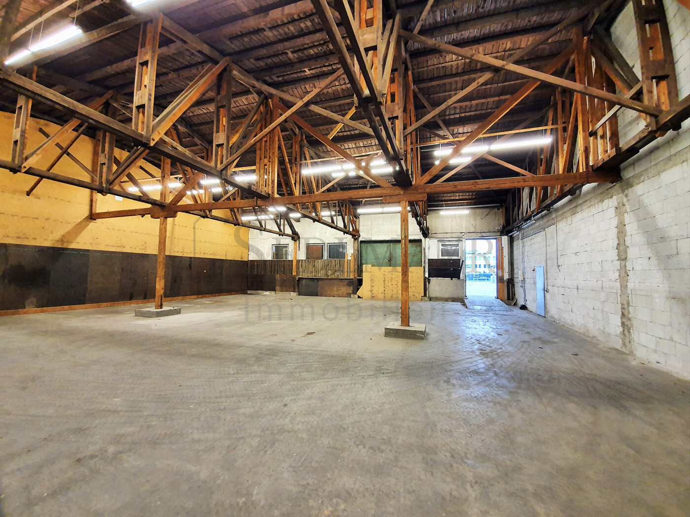 Ansicht 3 - Halle Leer