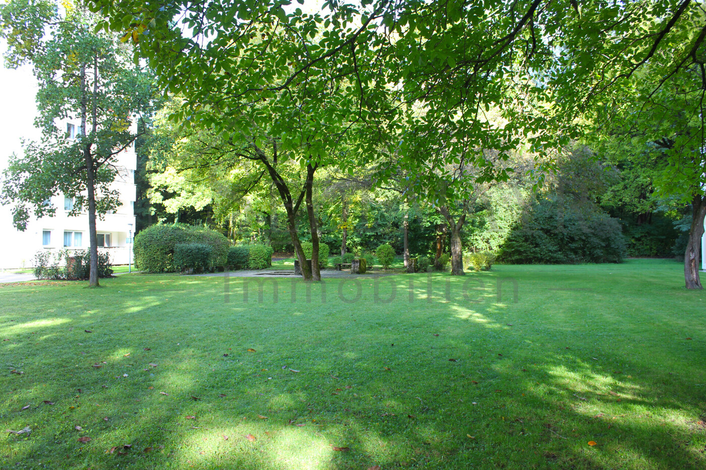 Gemeinschaftsgarten 1