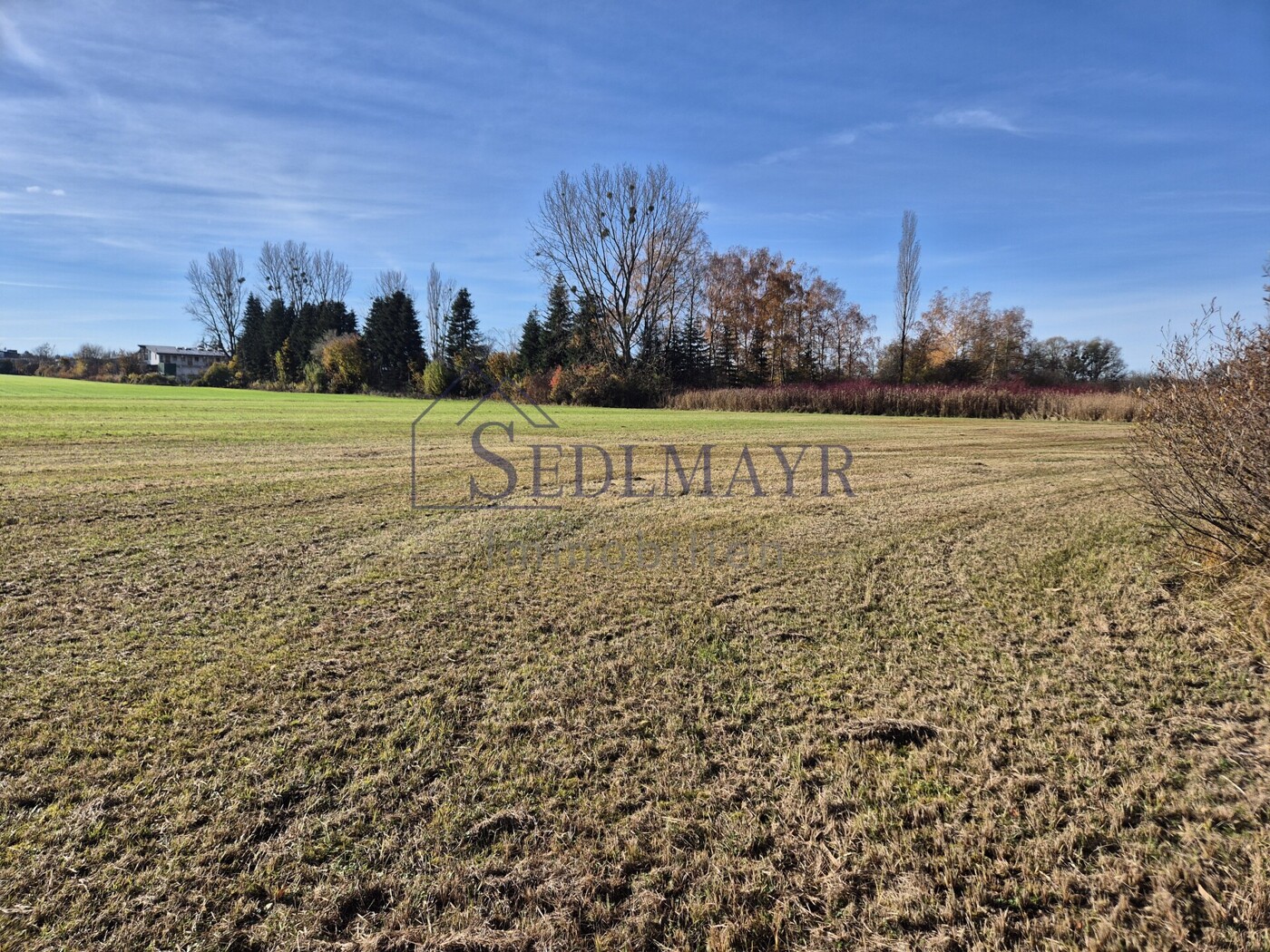 Ansicht Grundstück 3
