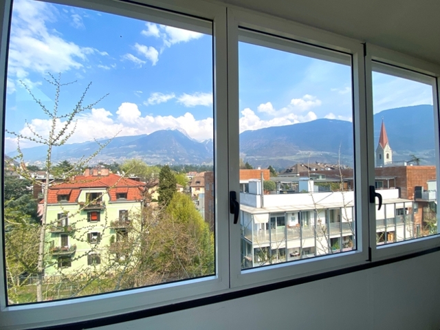 Vista