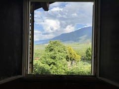 Aussicht Fenster
