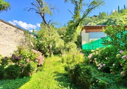 Übersicht Garten