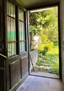 Ausblick in den Garten