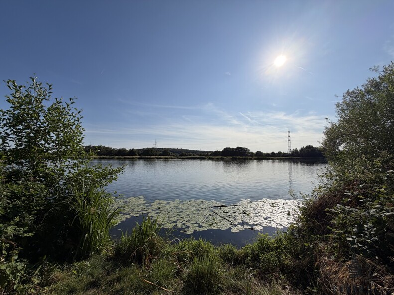Mainufer, nur 100m entfernt