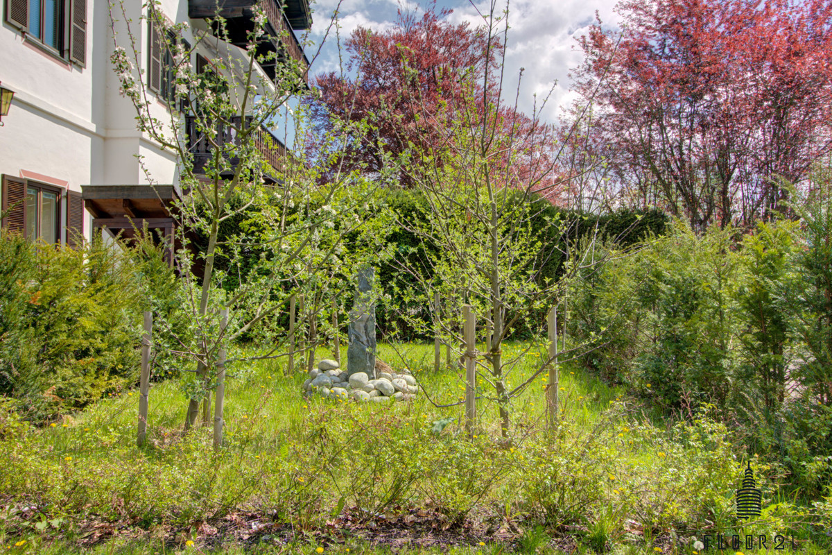 Kleiner Obstgarten