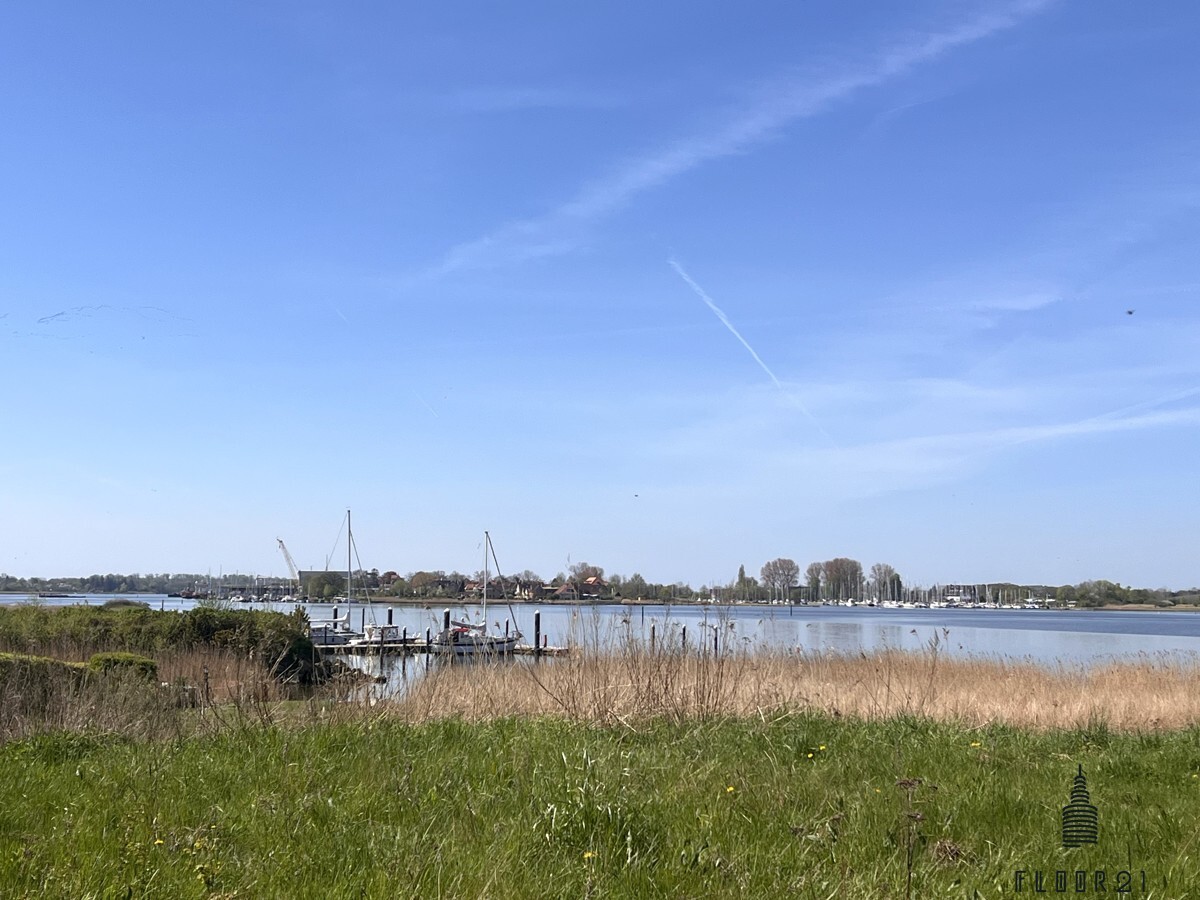 Schlei