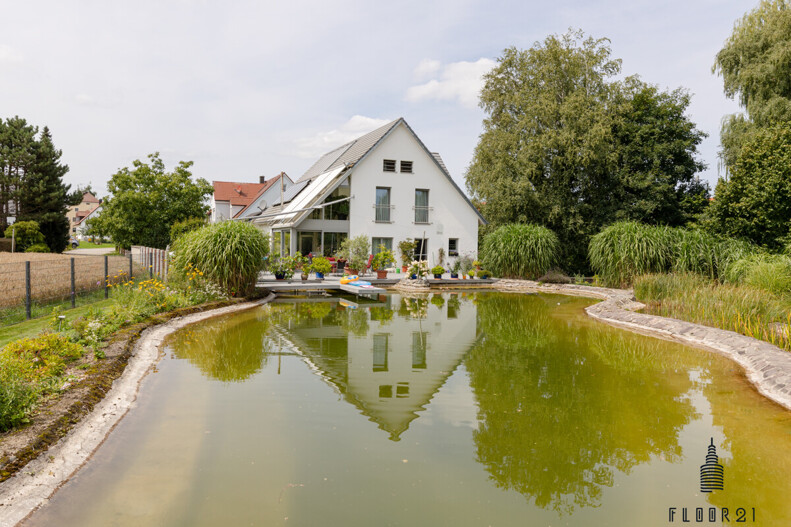 Schwimmteich
