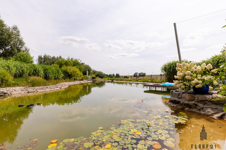 Schwimmteich mit Feldblick