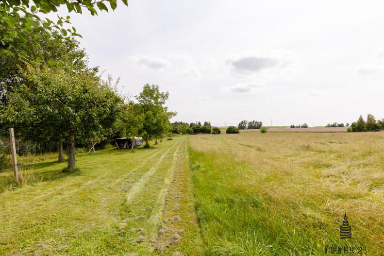 Obstwiese