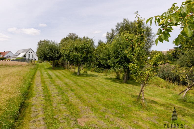 Obstwiese
