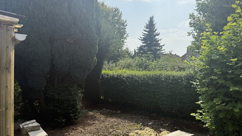 Ausblick