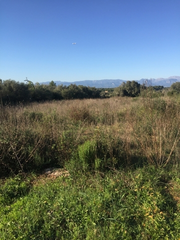 View to te tramontana