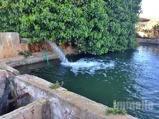 Cistern/Pool