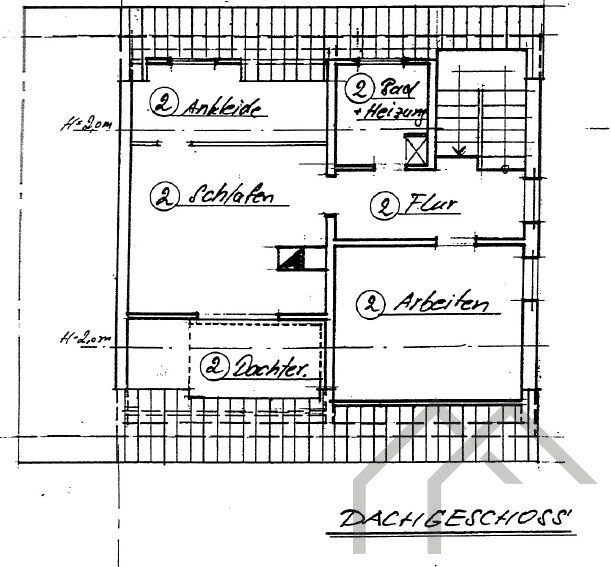 Grundriss DG