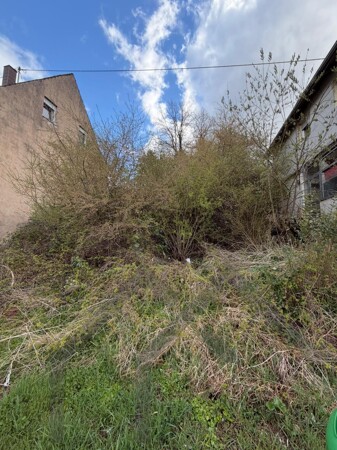 Ansicht