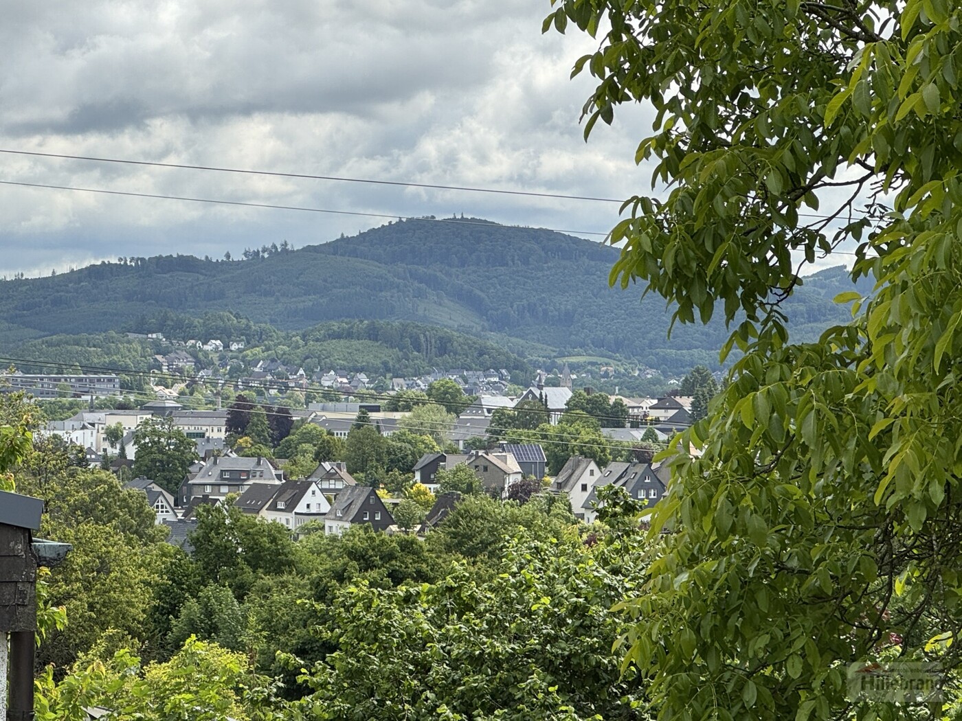 Aussicht aus Esszimmer