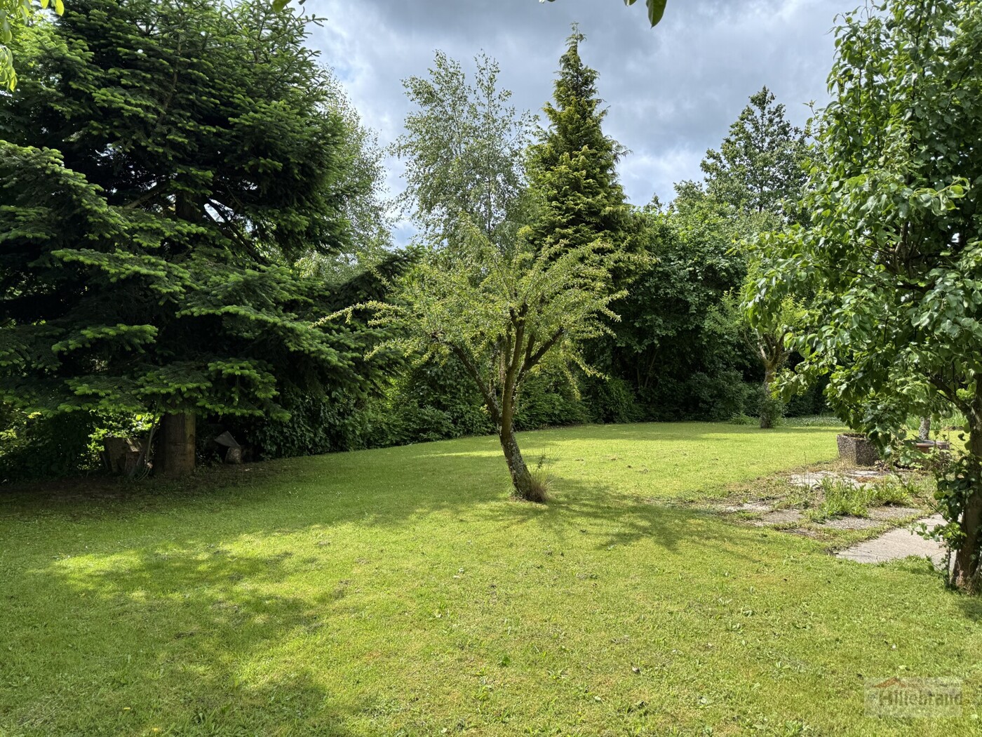Südliche Gartenfläche