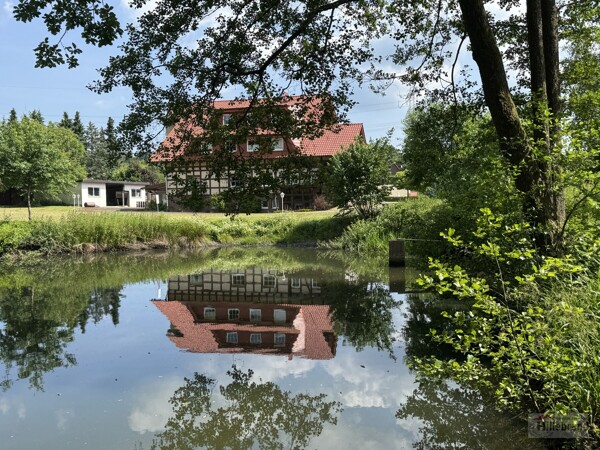 Westansicht