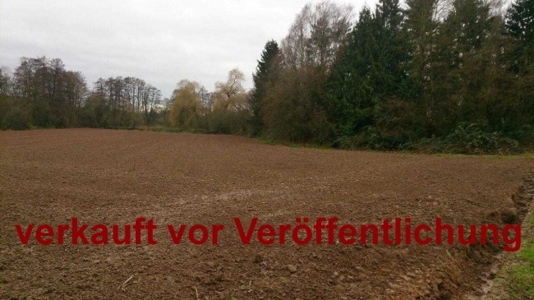 Ackerland an der Gründau 1