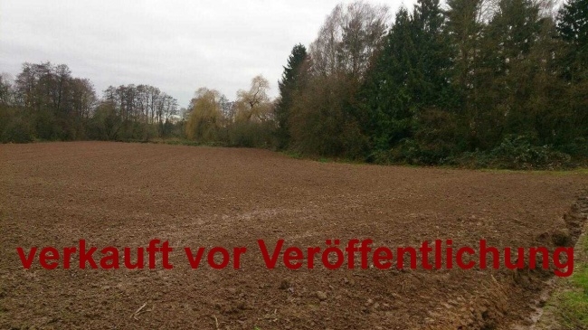 Ackerland an der Gründau 1