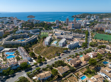 Nesea_aerea_02