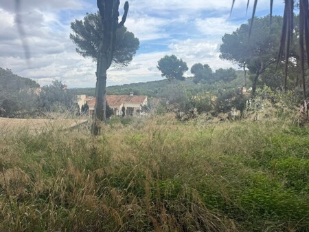 WhatsApp Image 2025-11-20 at 20.49.33 (1)