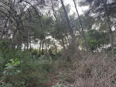 WhatsApp Image 2025-12-15 at 14.04.40 (1)