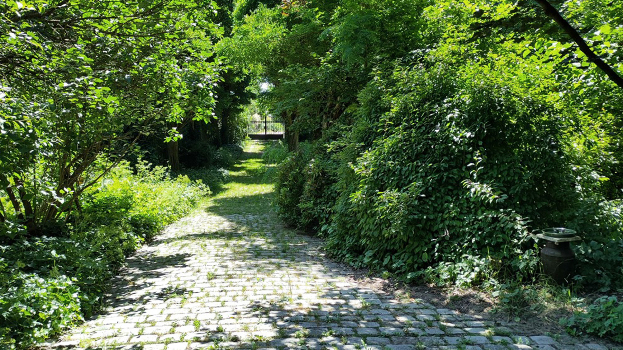 Bearbeitet Weg