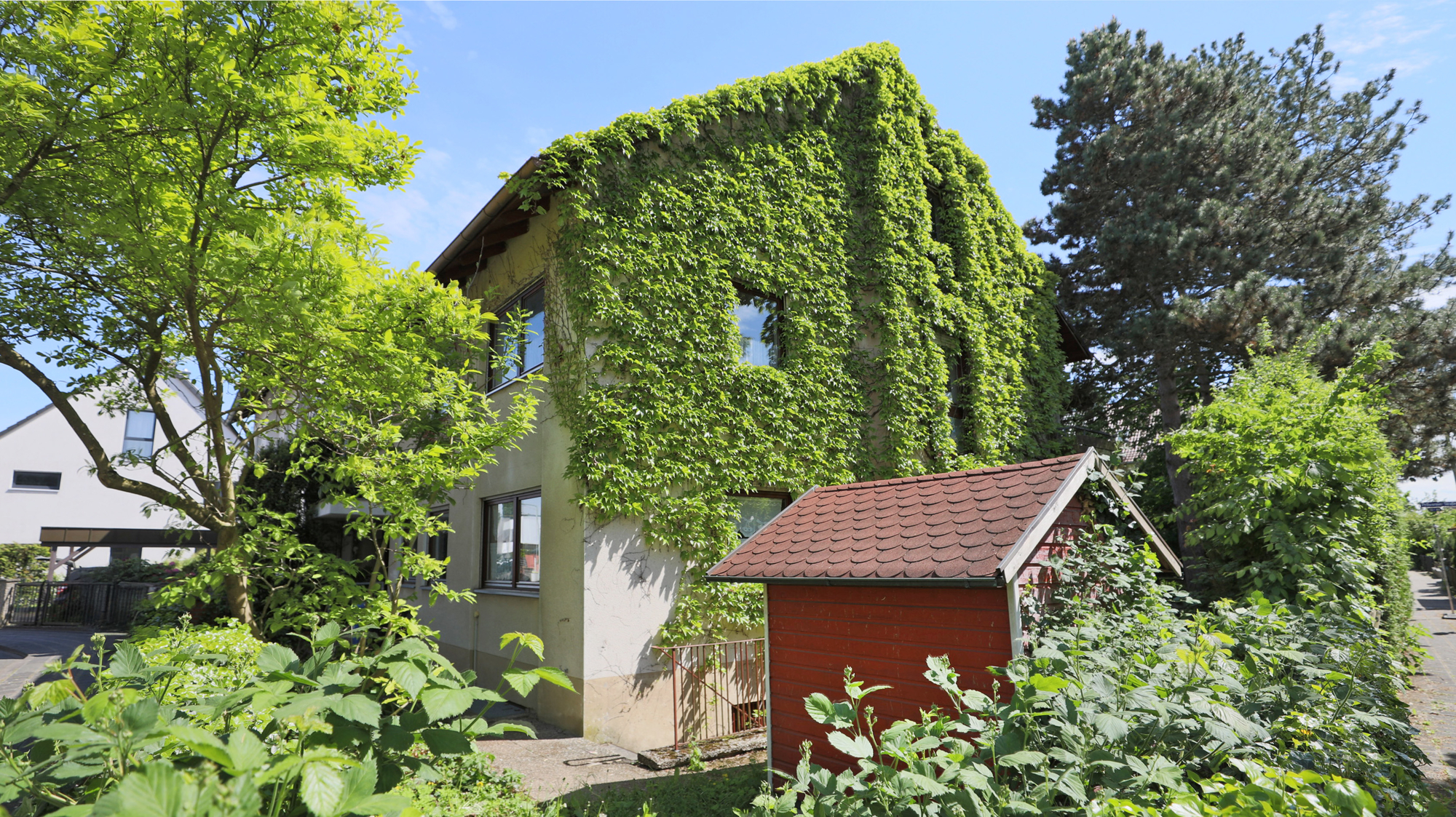 Seitenansicht