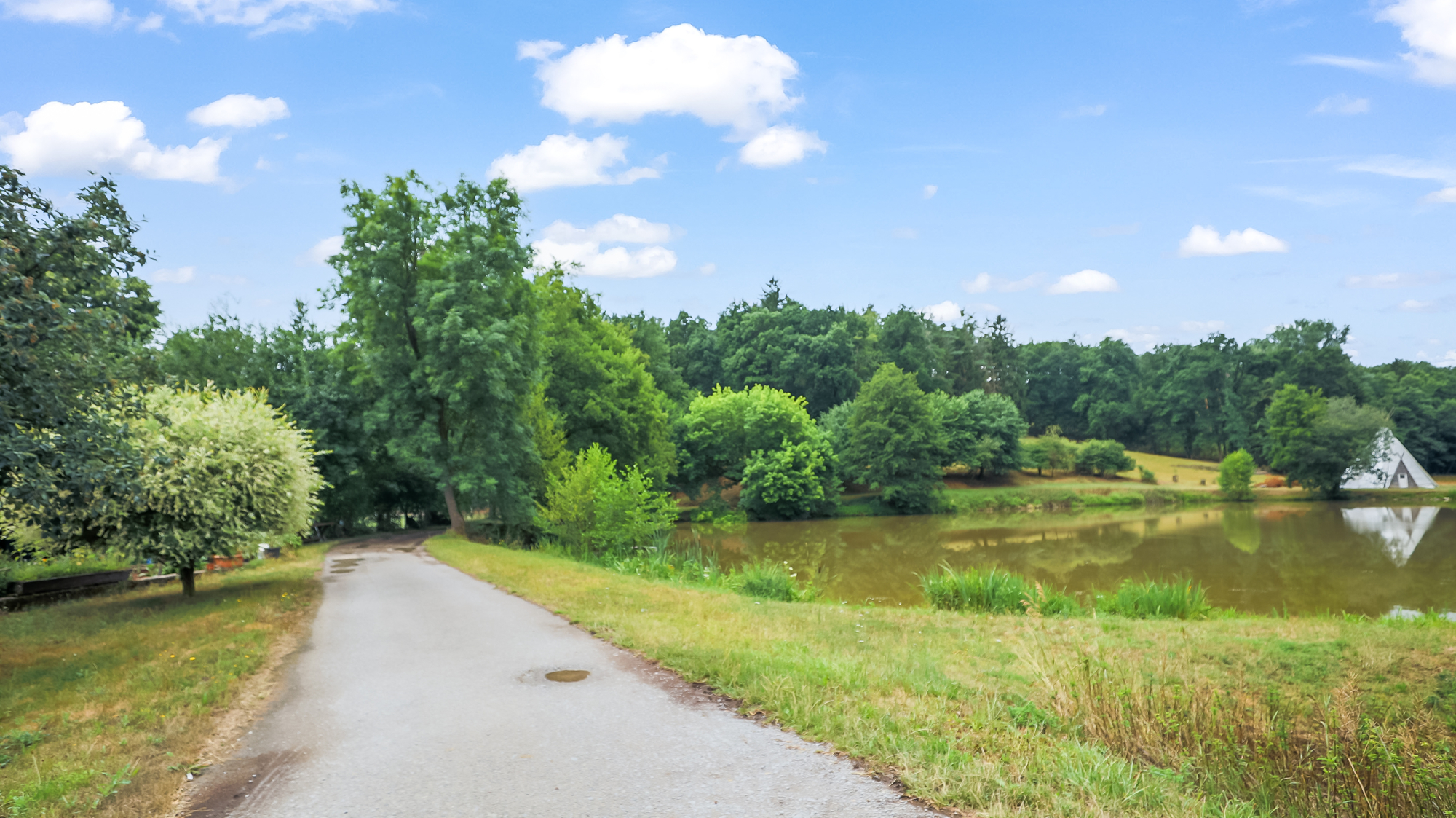 Weiher