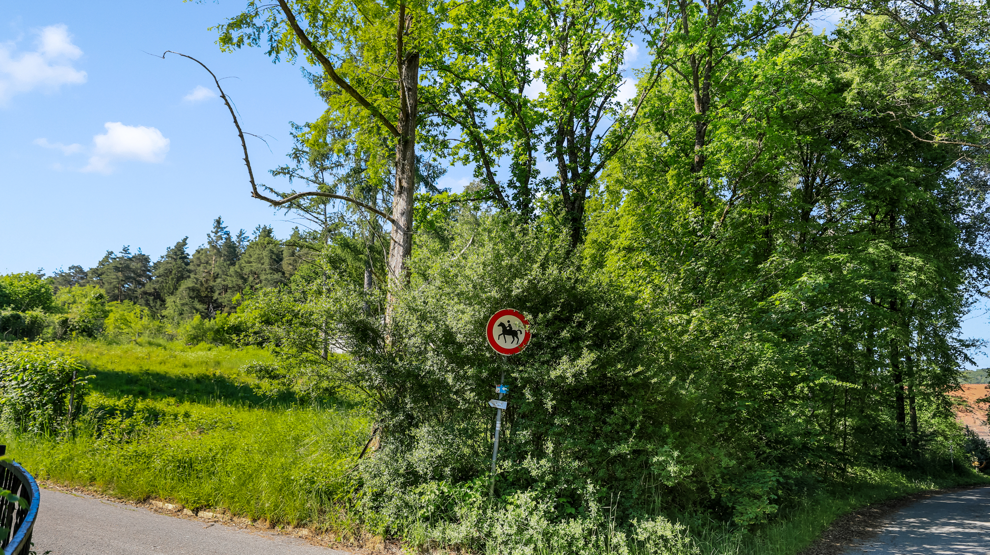 Grundstück