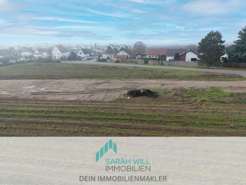 Tolle Gelegenheit - Dein Baugrundstück in Friedelsheim