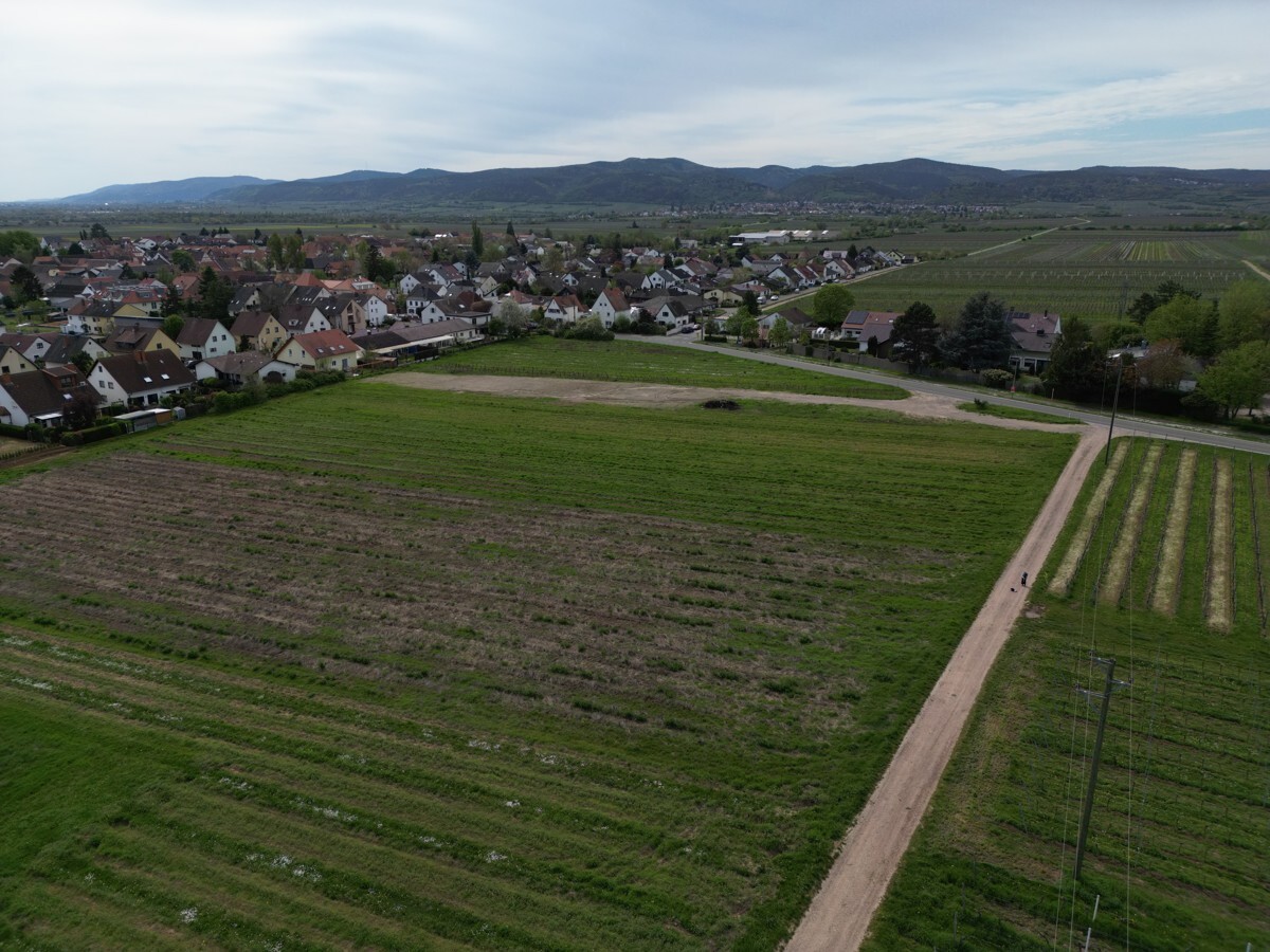 Tolle Gelegenheit - Dein Baugrundstück in Friedelsheim