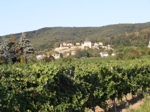 Blick zum Haardter Schloss