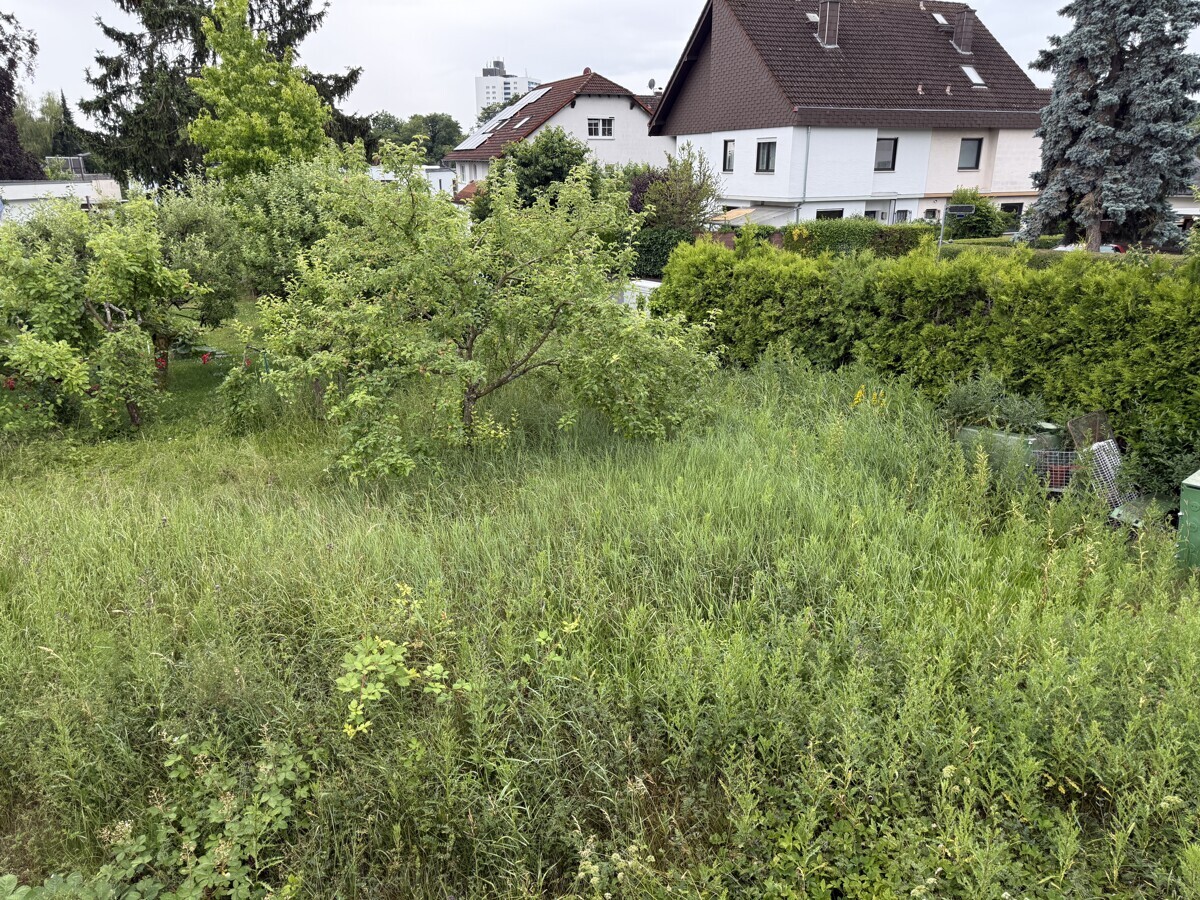 Riesen Grundstück mit altem Obstbaumbestand